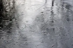 Winter Germany Prints: Ice, Winter, Germany