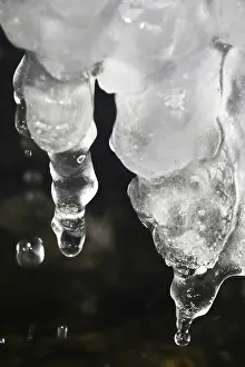 Wintry Germany Prints: Ice, Winter, Germany