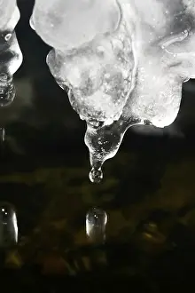 Winter Germany Prints: Ice, Winter, Germany