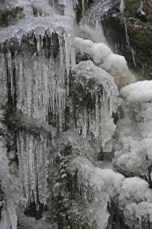 Frozen Water Body Europe Prints: Iced-over stream, ice formations