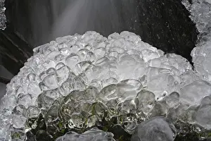 Hesse Germany Winter Scene Prints: Iced-over stream, ice formations