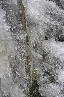 Frozen Water Body Europe Prints: Iced-over stream, ice formations