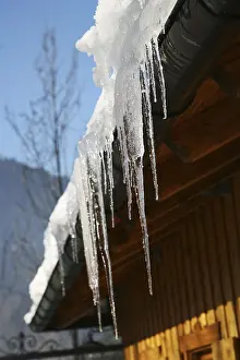 Winter Season Images Prints: Icicle
