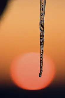 Frosty Winter Scene Prints: Icicle in front of sunset