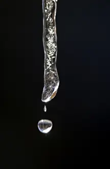 Global Warming Impact Prints: Icicle in thaw