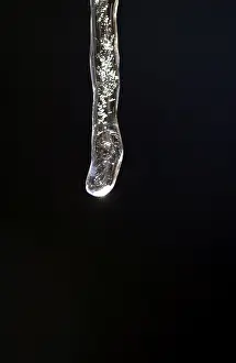 Global Warming Effects Prints: Icicle in thaw