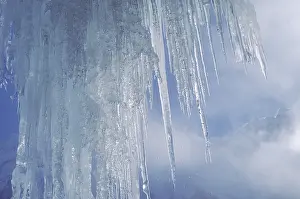 Close Up Icicles Prints: Icicles