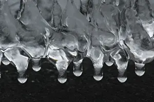 Frozen Water Drops Prints: Icicles