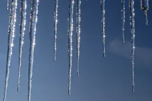 Winter Wonderland Prints: Icicles