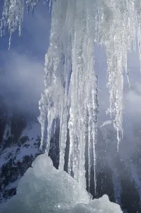 Frozen Winter Scene Prints: Icicles