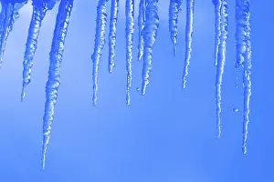 Frozen Landscape Prints: Icicles