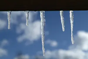 Hoarfrost Images Prints: Icicles