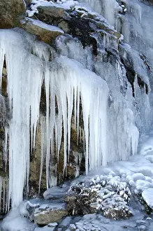 Winter Nature Scenes Prints: Icicles