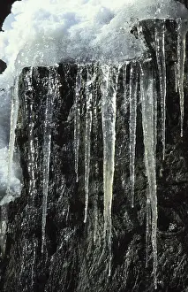 Southern Germany Winter Landscape Prints: Icicles in front of an escarpment