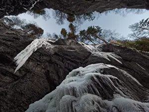 German Tourist Attraction Prints: Icicles in gorge with trees against sky