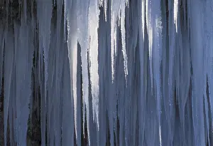 Icicles On Rock Face Prints: Icicles on a rock face