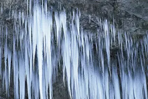 Icicles On Rock Face Prints: Icicles on a rock face