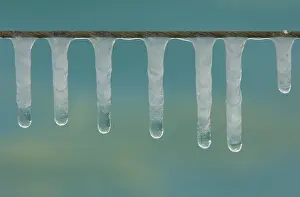 Global Warming Impact Prints: Icicles in thaw
