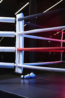 Boxing Ring Concept Prints: Image of a boxing ring without anyone
