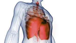Body Part Inspection Prints: Image converted using ifftoany