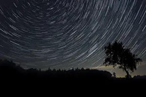 Long Exposure Images Prints: An image of a nice star trails background