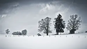 Winter Landscape Prints: An image of a nice winter scenery
