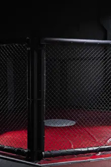 Martial Arts Training Prints: Image of an octagon. Concept of boxing