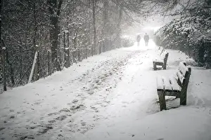 Deserted Snowy Landscape Prints: An image of a snowy path in the winter