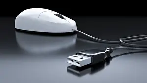 Personal Computer Accessories Prints: An image of a typical computer mouse