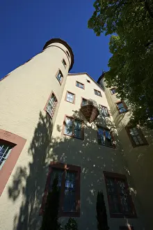 Deserted Castle In Europe Prints: Impressive tower of a castle with trees in the foreground and shadow effect