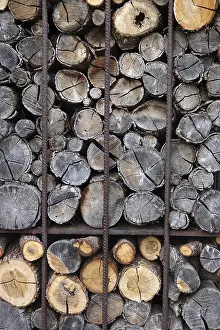 Insect Hotel Prints: Insect hotel