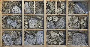 Ecofriendly Nesting Site Prints: Insect hotel with different building materials