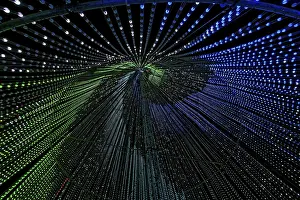 Illuminated Tree Quebec Prints: Inside the illumi tree, light show