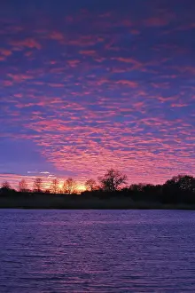 Sunset In Northern Germany Prints: Intense sunset with dramatically colored sky over the river