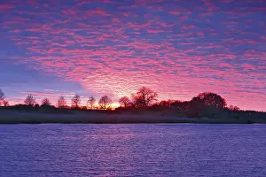Peenetal Nature Park Scenery Prints: Intense sunset with pink clouds over a river