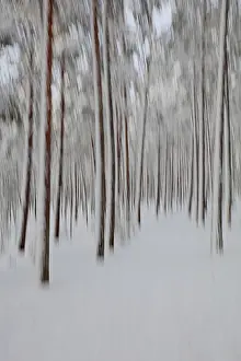 Time Exposure Photography Tips Prints: Intentional camera movement (ICM)