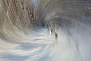 Intentional Camera Movement Prints: Intentional camera movement (ICM)