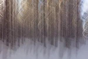 Wintry European Landscapes Prints: Intentional camera movement (ICM)