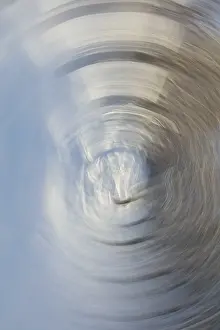 Intentional Camera Movement Prints: Intentional camera movement (ICM)