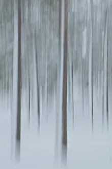 Blurred Nature Photography Prints: Intentional camera movement (ICM)