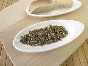 Alternative Medicine Prints: Ipecacuanha Root Print, Ipecacuanhae radii