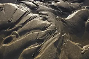 Aerial Photography Europe Prints: Irregular structures in the mud flats