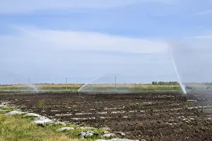 Sprinkler Equipment Prints: Irrigation system in field of melons
