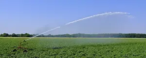 Agricultural Land Use Germany Prints: Irrigation of the fields, drought