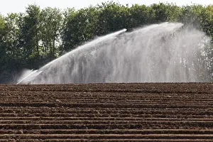 Central Europe Farming Prints: Irrigation machine irrigates a field in spring
