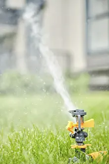 Irrigation Print with Automatic Rotating Sprinkler