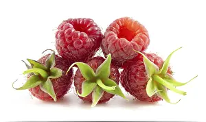 Studio Shot Raspberries Prints: Isolated raspberry berries on a white background
