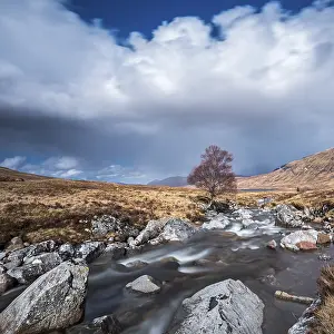 Cloudy Atmosphere Photography Prints: Isolated tree on the River Ossian