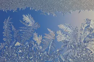 Ice Crystal Formation Prints: Frost on a window