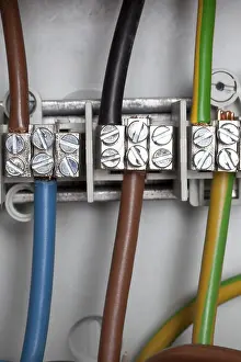Electrical Wire Prints: Junction box, power cables
